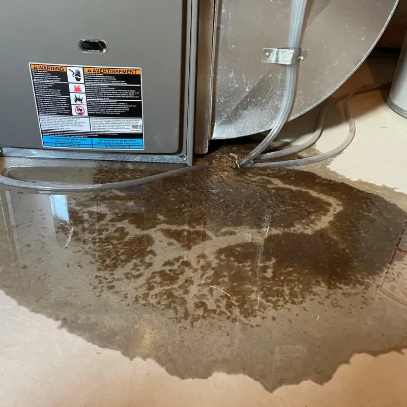 Appliance Leak Cleanup in Maui County, HI