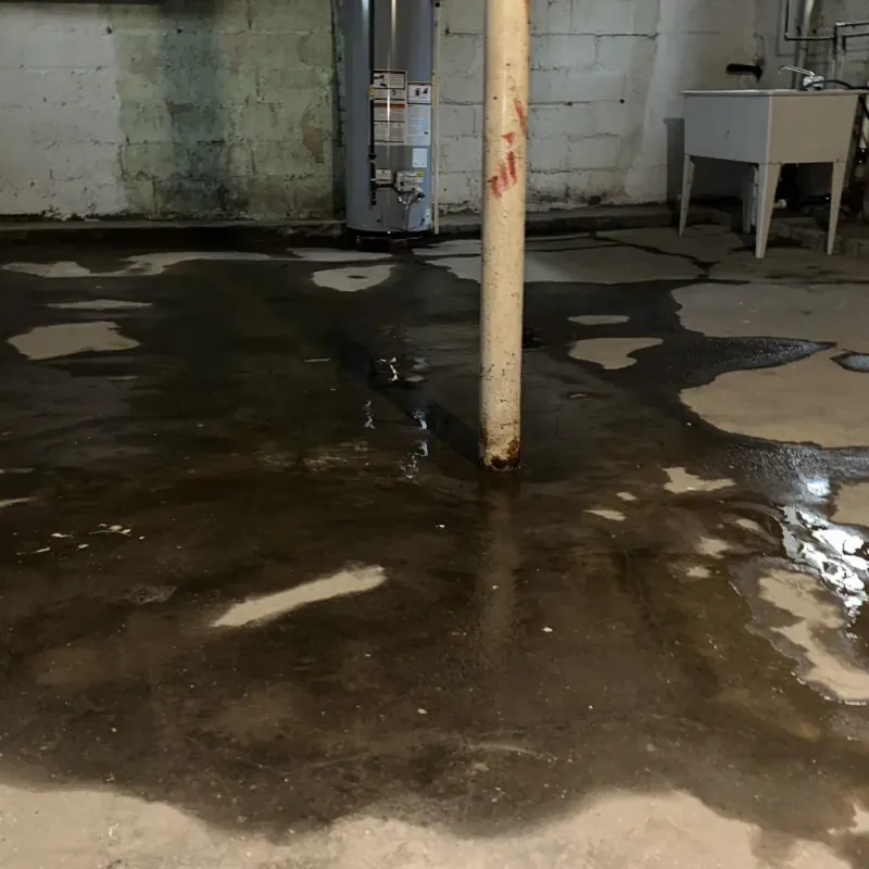 Emergency Water Extraction And Removal in Maui County, HI